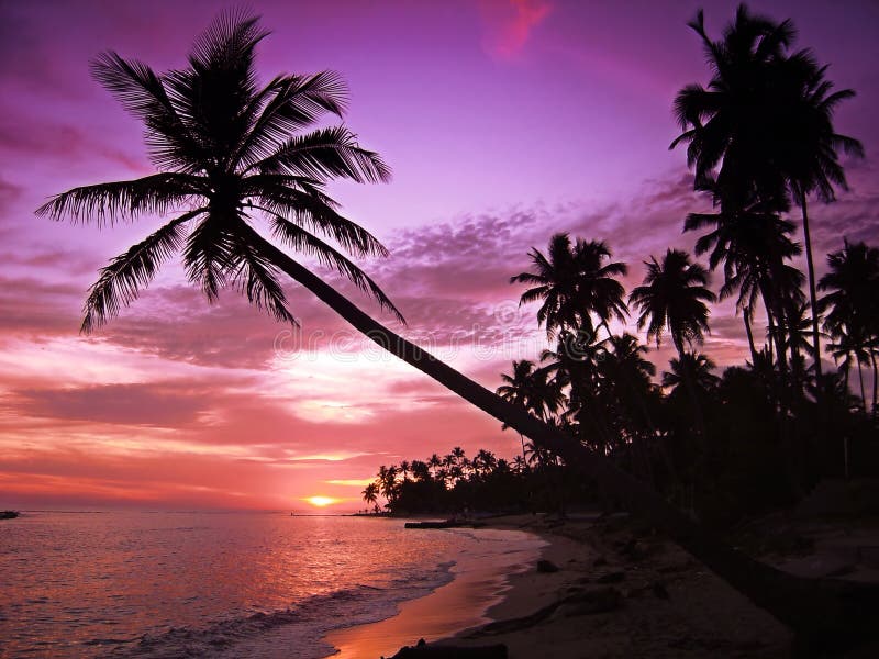 Beautiful tropical sunset royalty free stock photography Beautiful tropical sunset royalty free stock photography