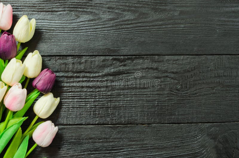 Hoa tulip trên nền gỗ đen tạo nên một bức tranh thiên nhiên đầy sống động. Sự hài hòa giữa vẻ đẹp của hoa tulip và sự nghiêm túc của gỗ đen sẽ mang lại cho bạn một hình nền tuyệt vời, đầy tinh tế và sang trọng. Hãy cùng thưởng thức ngay để tìm kiếm sự thoải mái cho mắt và tâm hồn.