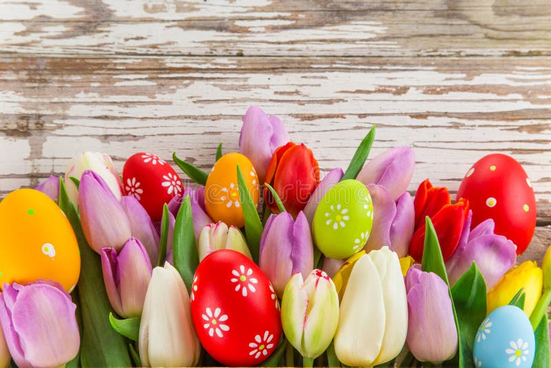 Beautiful tulips background