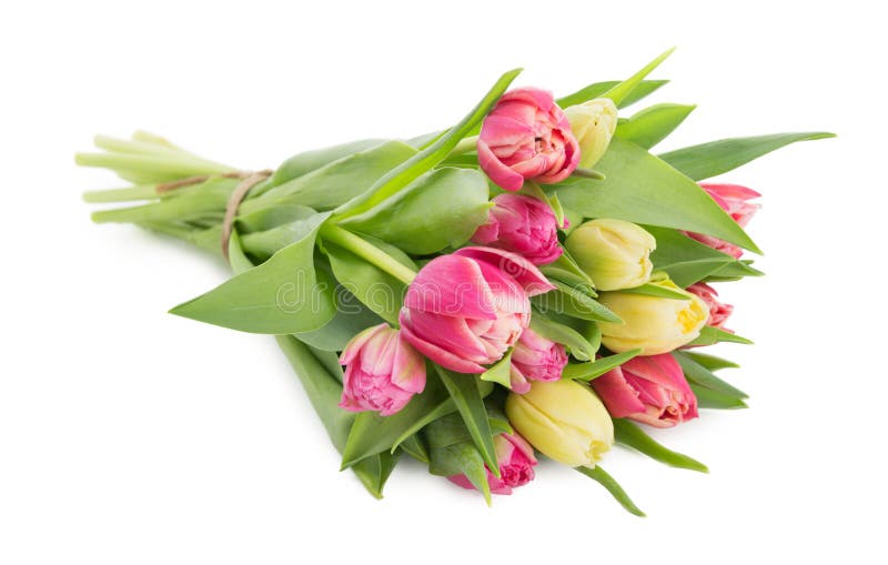 Beautiful tulips bouquet