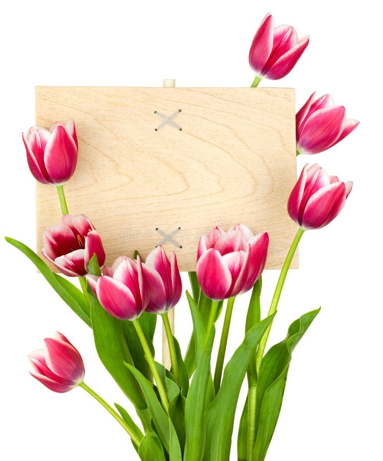 Beautiful Tulips and Empty Sign for message