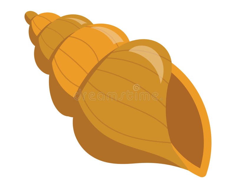 Beautiful underwater shell. royalty free illustration