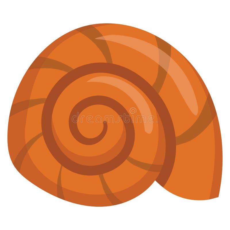 Beautiful underwater shell. vector illustration