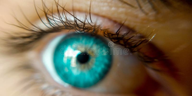 The Neon eyes stock image. Image of natural, neon, blue - 126176179