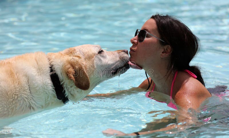 Beautiful Unique Golden Retriever Labrador Dog and Girl Relaxing at the Pool in a Floating Bed, Dog Super Funny. Stock Photo - Image of cool, float: 119291852 Beautiful Unique Golden Retriever Labrador Dog and Girl Relaxing at the Pool in a Floating Bed, Dog Super Funny. Stock Photo - Image of cool, float: 119291852