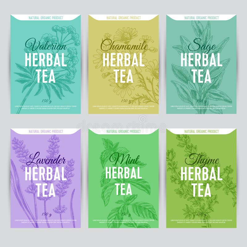 Beautiful vector hand herbal tea card set. vector illustration Beautiful vector hand herbal tea card set. vector illustration