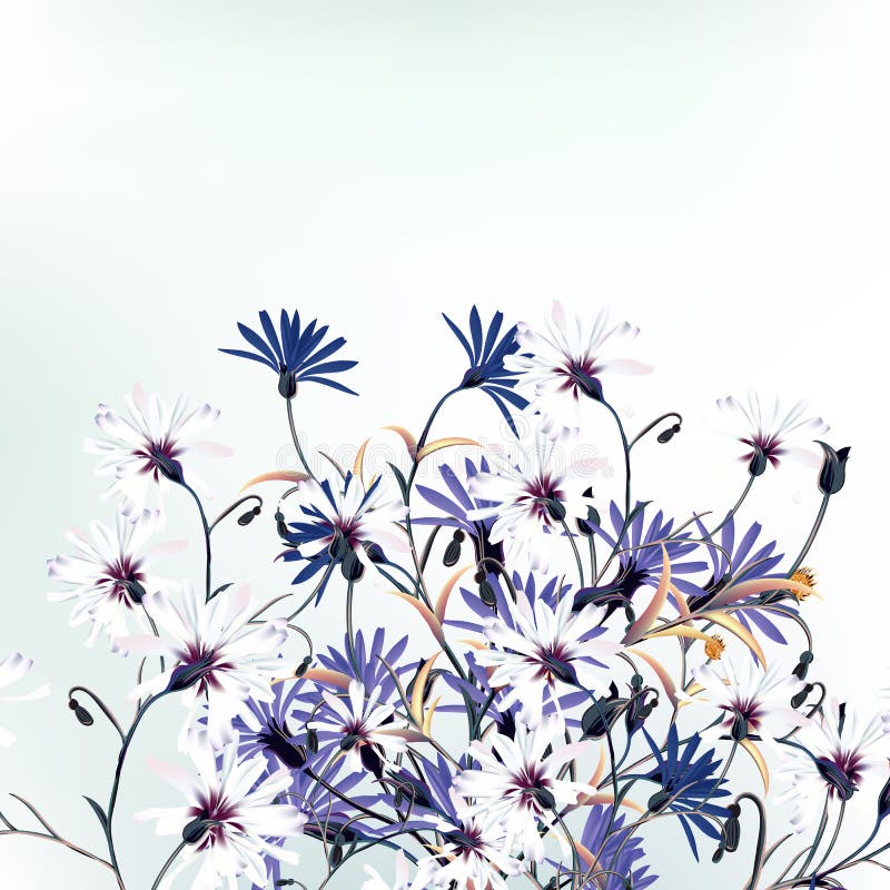 Beautiful vector illustration with field flowers stock illustration Beautiful vector illustration with field flowers stock illustration