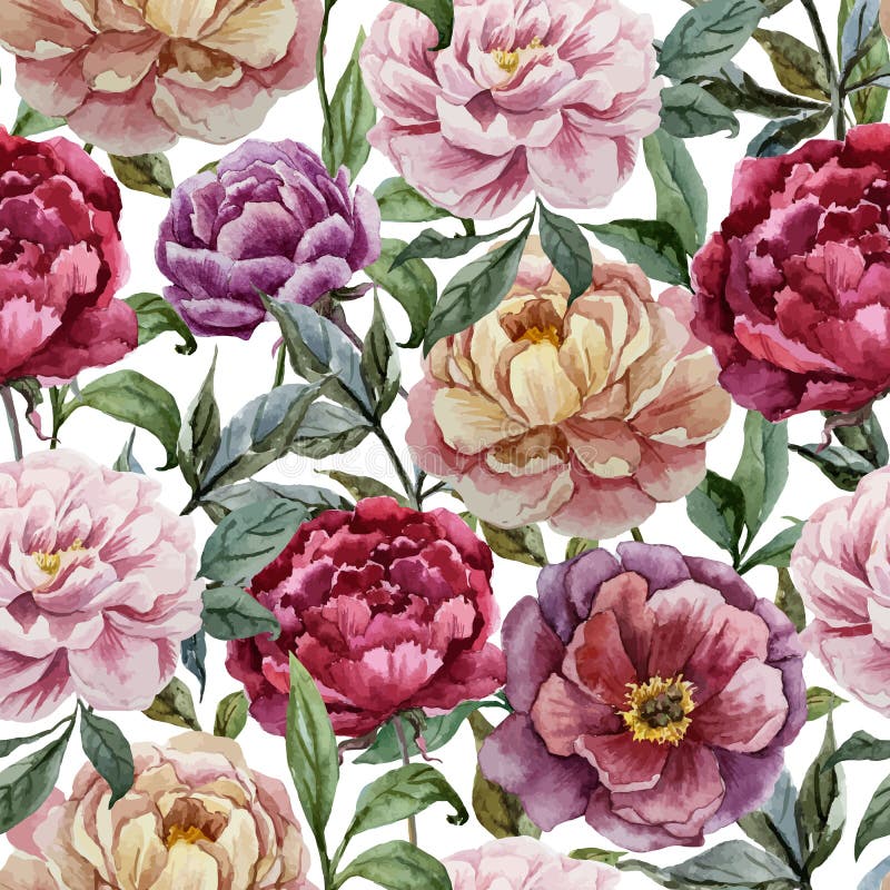 Beautiful vector watercolor pattern with peonies stock illustration Beautiful vector watercolor pattern with peonies stock illustration