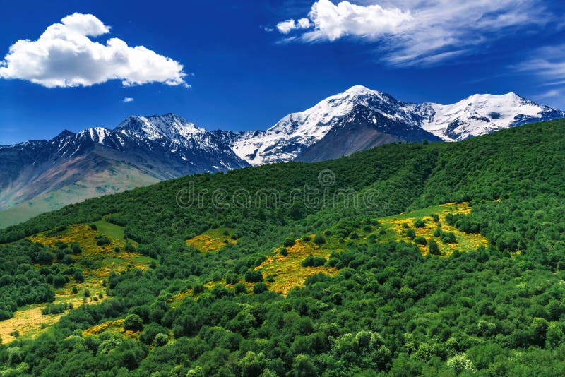 Beautiful View Of Alpine Meadows In The Caucasus Mountains Pastures