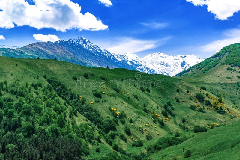 Beautiful View Of Alpine Meadows In The Caucasus Mountains Pastures