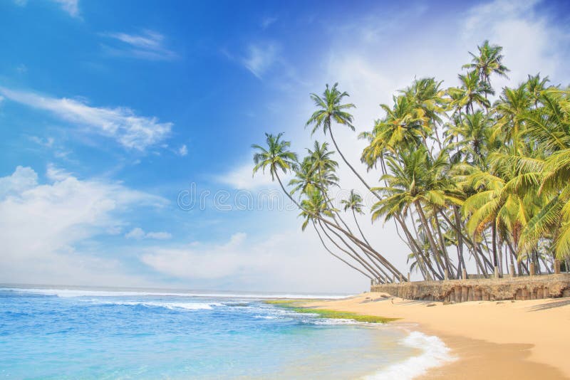 Beautiful view of the beach of Sri Lanka stock photos