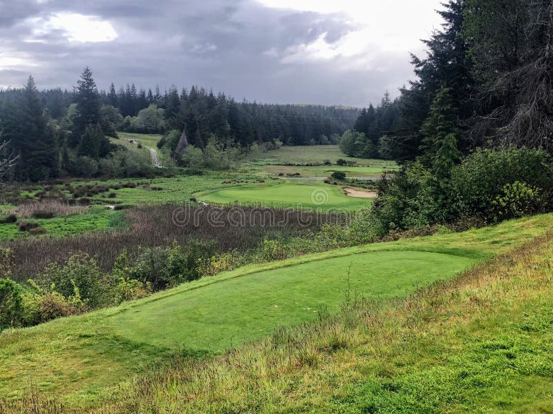 A beautiful view of a beautiful par 3 golf hole with the Oregon forests in the background and the shot requires carrying a marsh