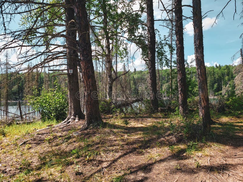 Beautiful view on the Blue Lakes Hiking Trail during the summer at Duck Mountain Provincial Park, Manitoba, Canada