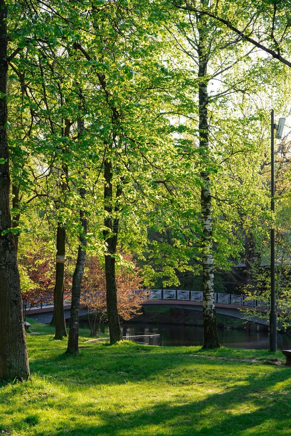 Beautiful view of the city park on a sunny spring day royalty-vrije stock afbeeldingen
