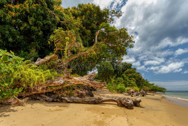 Beautiful view of the coast of Masoala National Park in Madagascar