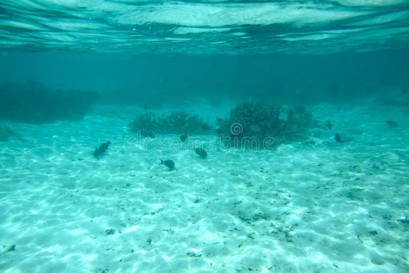 Beautiful View of Dead Coral Reefs . Turquoise Water and White Sand ...