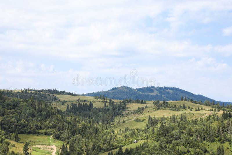 Beautiful view of forest in mountains under blue sky royalty free stock photo