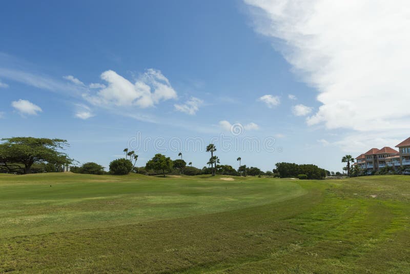 Beautiful view of green grass field and green trees on blue sky background. Tropical natural lanscape backgrounds stock photography Beautiful view of green grass field and green trees on blue sky background. Tropical natural lanscape backgrounds stock photography
