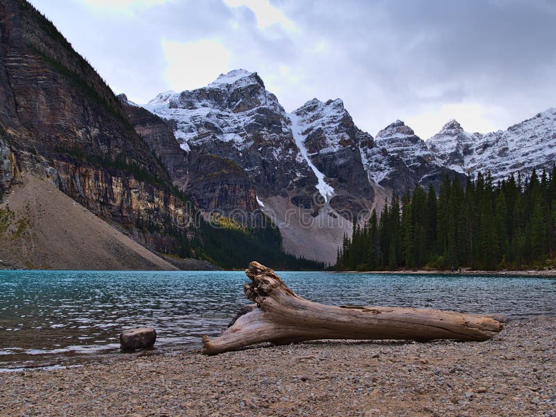 Beautiful view of Morain Lake in Banff National Park, Alberta, Canada in the Rocky Mountains with driftwood on the shore.