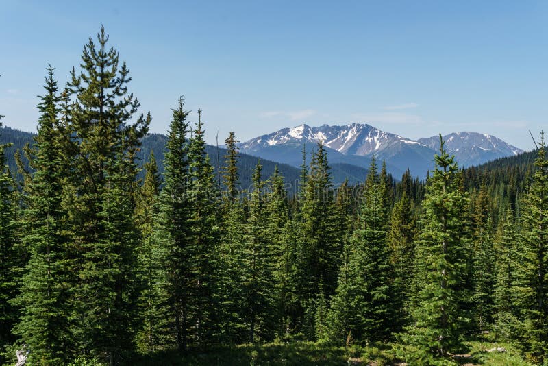 Beautiful view of mountains meadow in summer season Sunny weather blue sky and green forest background