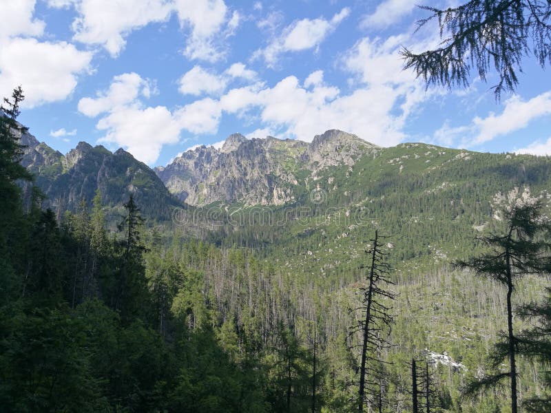 Beautiful view of nature scene in mountains