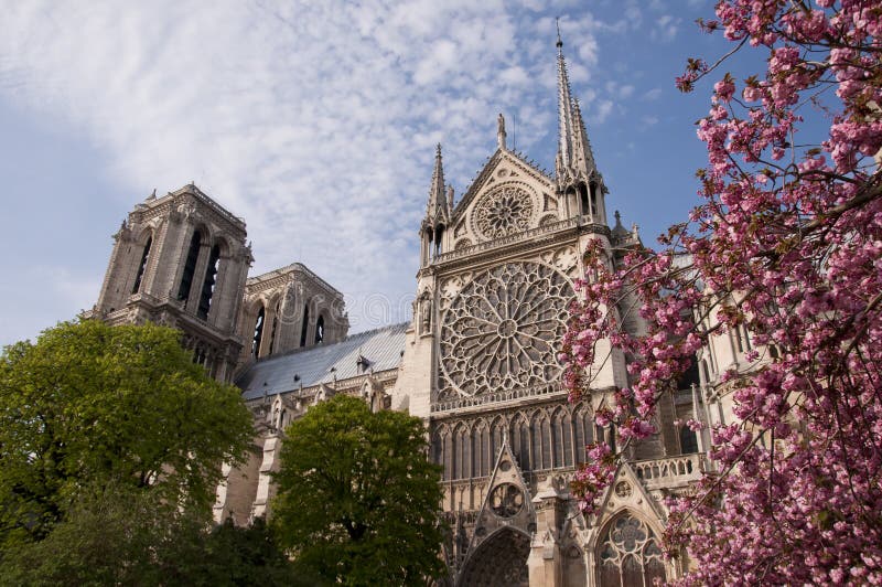 Beautiful view of the Notre Dame with blossoms