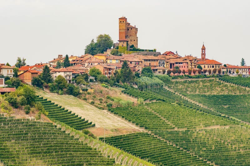 Beautiful view of Serralunga d`Alba with castle and nebbiolo grapes vineyards, Piemonte, Langhe