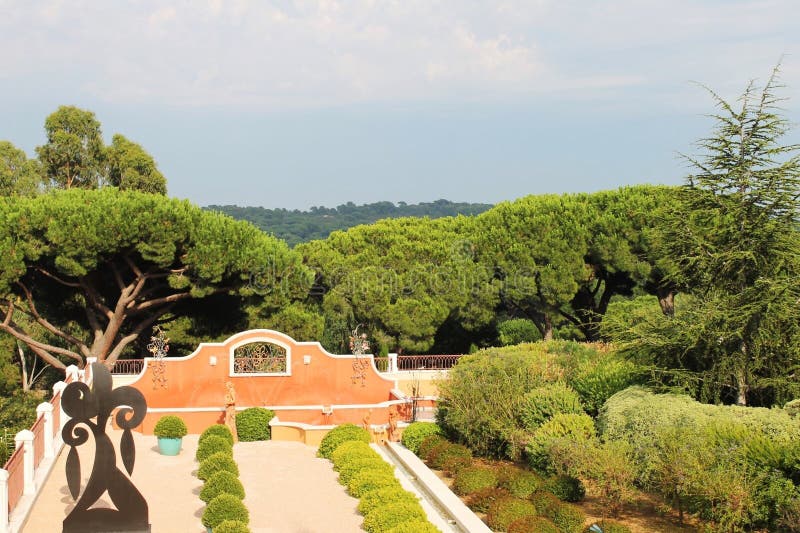 Beautiful View of the Trees in St Tropez Stock Photo - Image of tropez ...