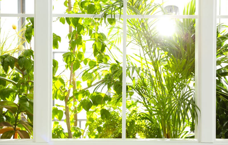 Beautiful view through window on garden