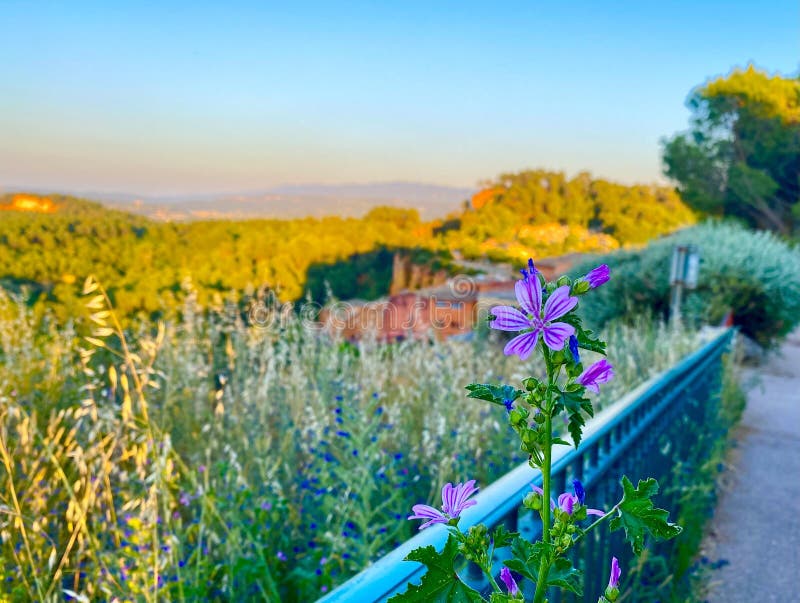 A beautiful village in an area of Luberon in the south of France. A beautiful village in an area of Luberon in the south of France