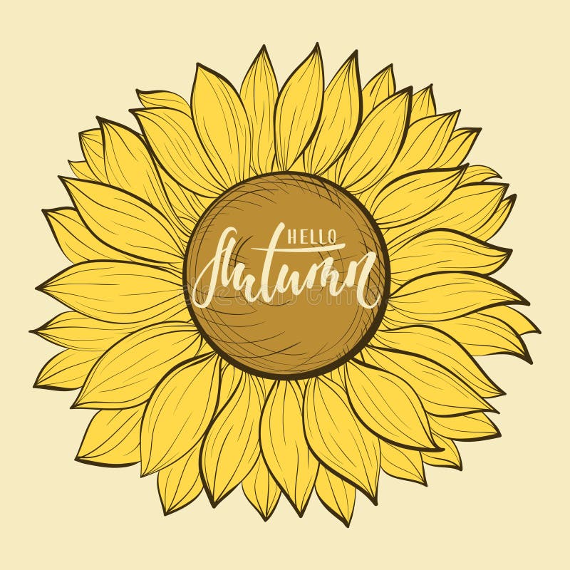 Beautiful vintage sunflower flower. Hello autumn. Hand drawn calligraphy and brush pen lettering. design for holiday greeting card