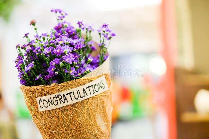 Beautiful violet or purple Gypsophila flower in brown grid paper