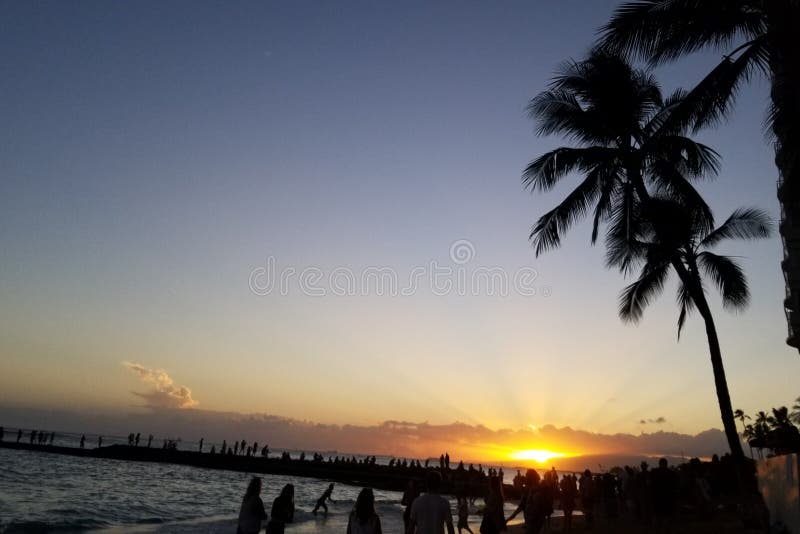 Beautiful Silhouette Coconut Palm Tree On Sky Around Swimming Pool In