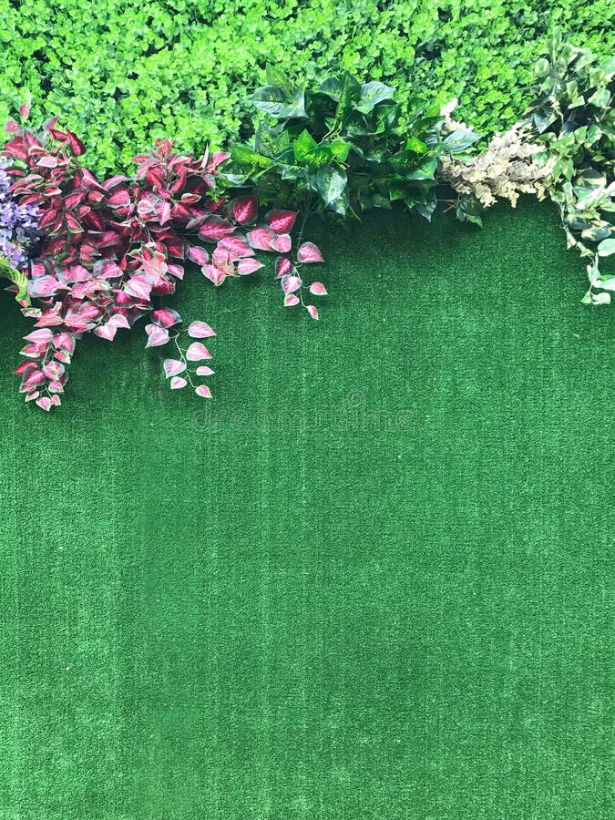 Plant Wall Zoom Background
