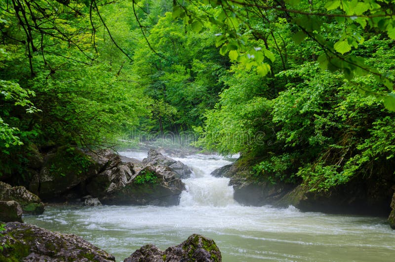 Beautiful wallpaper milk waterfall flow rapid stream. Caucasus rocky mountain river in forest. Isichenko waterfall, Guamka, Mezmay. Milk waterfall flow rapid royalty free stock photos Beautiful wallpaper milk waterfall flow rapid stream. Caucasus rocky mountain river in forest. Isichenko waterfall, Guamka, Mezmay. Milk waterfall flow rapid royalty free stock photos