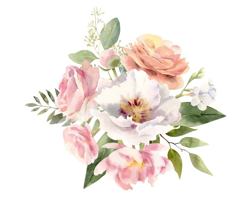 Beautiful Watercolor Flower Arrangement Stock Illustration ...