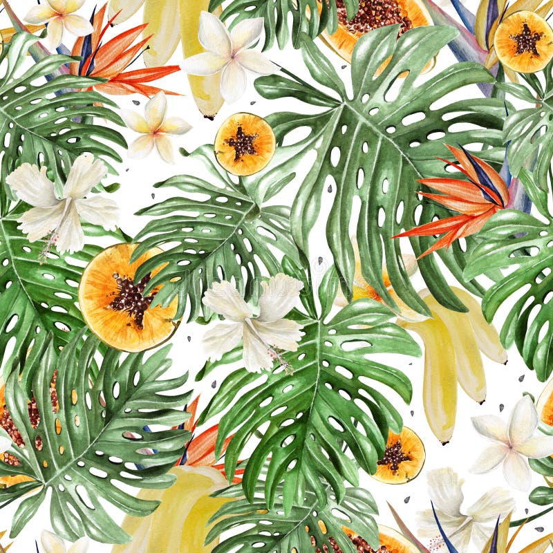 Beautiful watercolor tropical pattern with flowers of hibiscus and strelitzia. Tropical fruits papaya and bananas. stock illustration Beautiful watercolor tropical pattern with flowers of hibiscus and strelitzia. Tropical fruits papaya and bananas. stock illustration