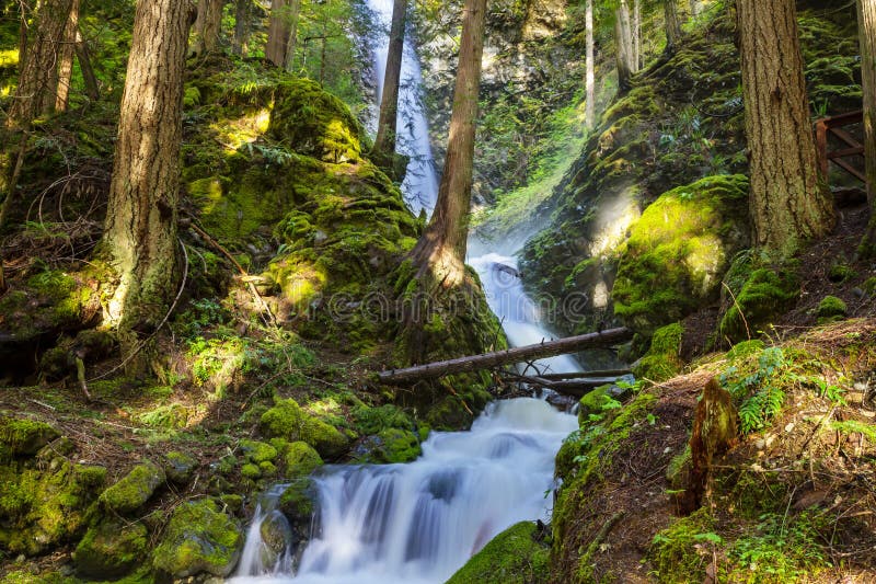 Waterfall in Canada stock image. Image of mountains - 273176777