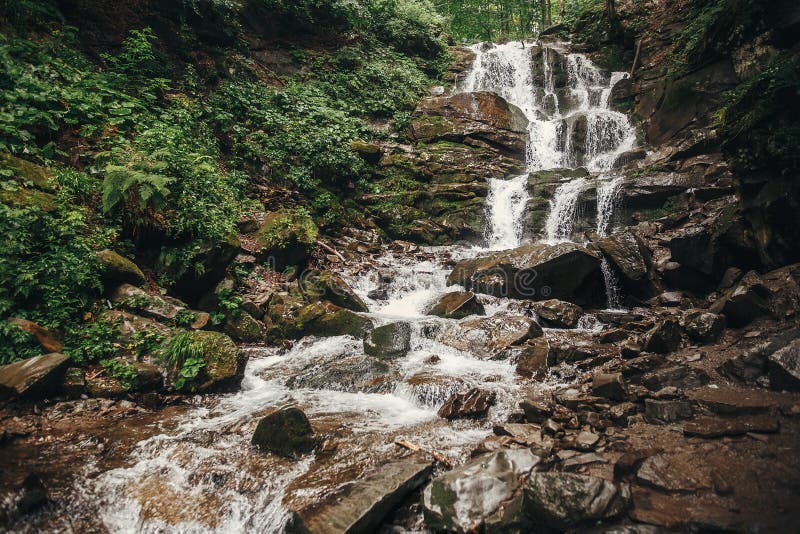 Beautiful waterfall in forest in mountains. cascades river with