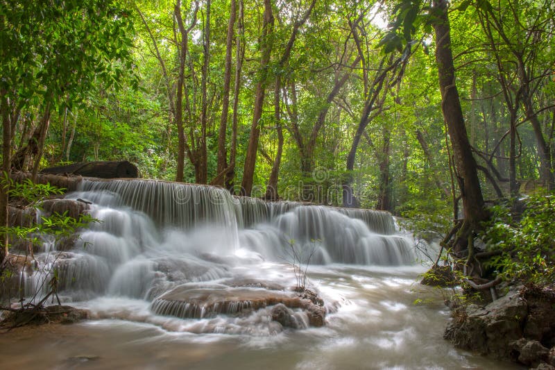 Beautiful waterfall in a forest