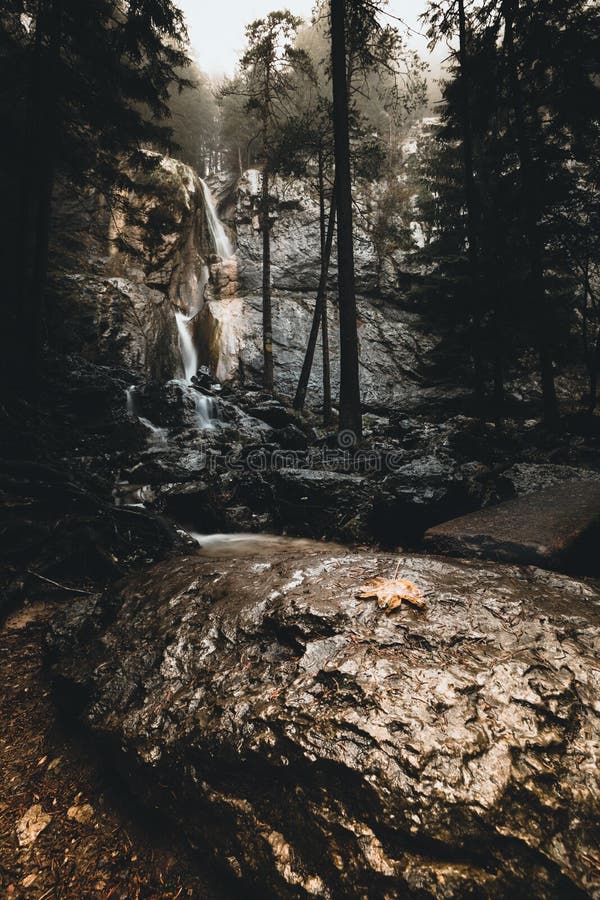 Beautiful Waterfall In Autumn Forest In Austria Stock Photo Image Of