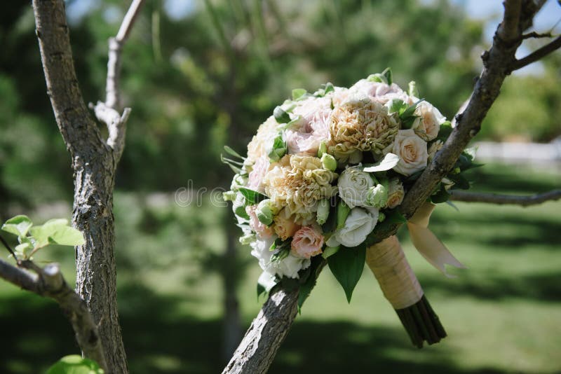 beautiful wedding bouquet of white flowers hanging on the tree close up summer decor concept vintage design garden fresh nature blossom floral decoration arrangement natural bloom space your text colorful holiday outdoors closeup bouquets scenery art