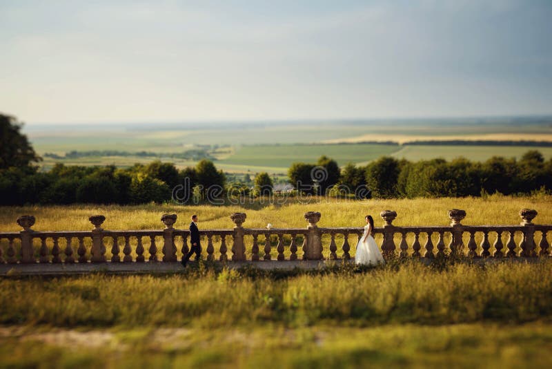 Beautiful wedding couple, stylish bride and handsome groom, hugging near a castle, with a field in background stock images Beautiful wedding couple, stylish bride and handsome groom, hugging near a castle, with a field in background stock images