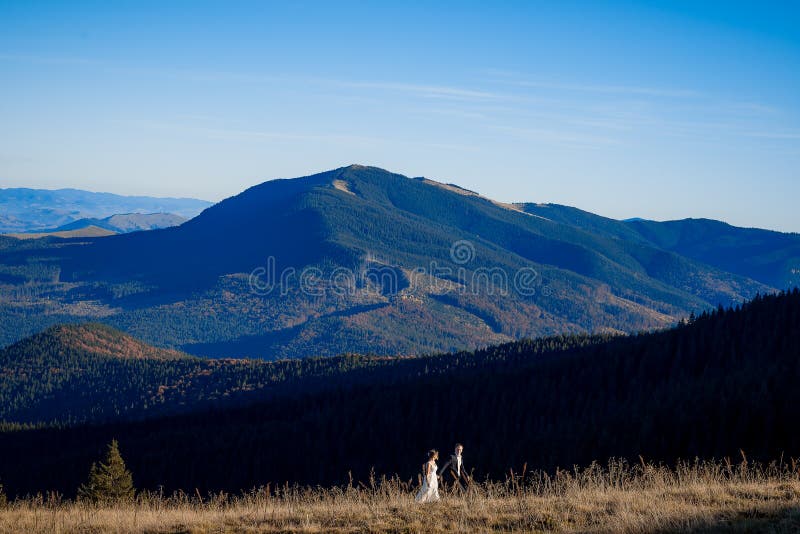 Beautiful wedding couple walking on the field. Wonderful mountain landscape stock images Beautiful wedding couple walking on the field. Wonderful mountain landscape stock images