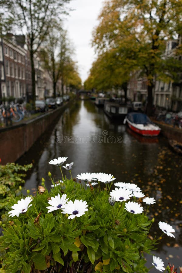 LGBTQI+ neighbourhoods of Amsterdam