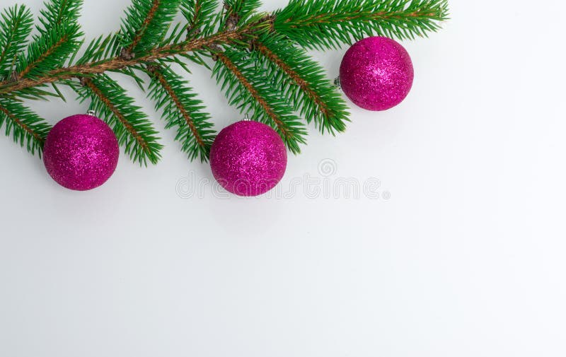 A beautiful white background on which lies a branch of a Christmas tree with New Year`s purple balls. Place for text and. A greeting inscription. A beautiful stock photography A beautiful white background on which lies a branch of a Christmas tree with New Year`s purple balls. Place for text and. A greeting inscription. A beautiful stock photography