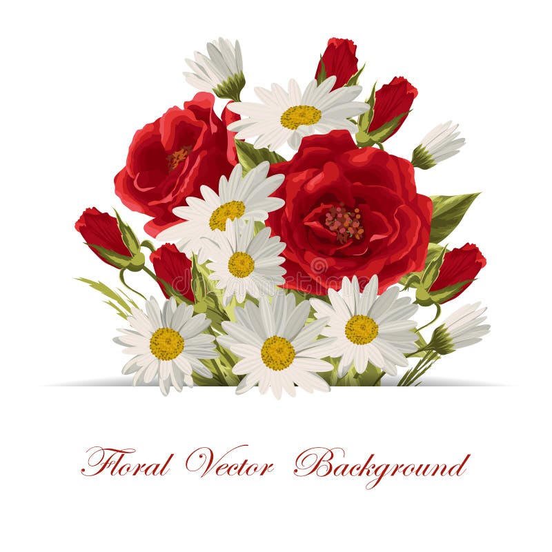Beautiful White Daisies and Red Roses Stock Illustration Illustration