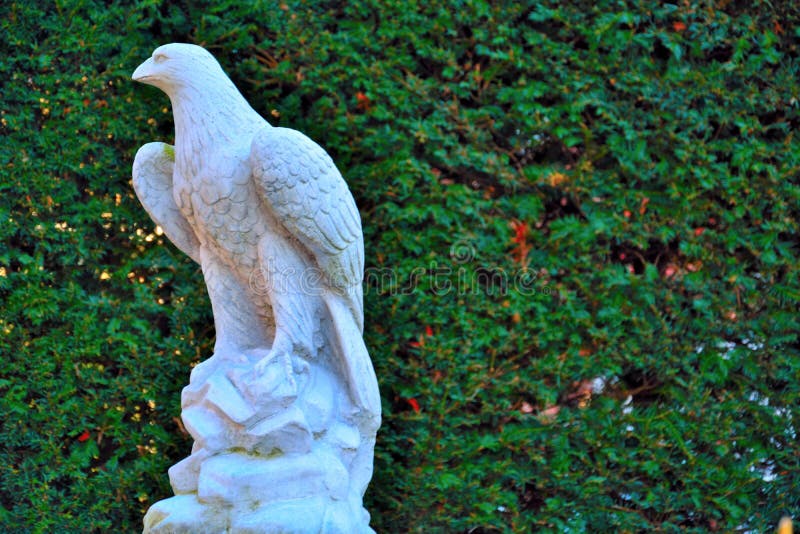 Beautiful White Eagle Statue Stock Image Image of nature, animal