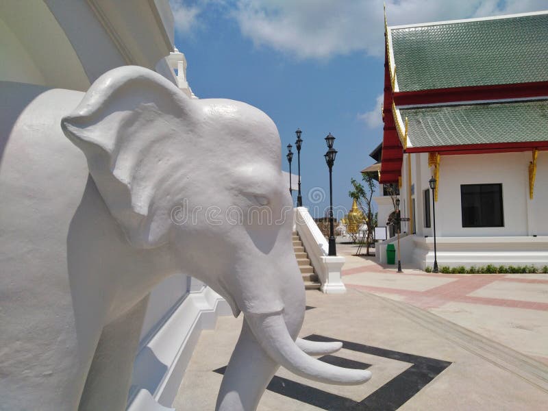 Beautiful White Elephant Statue Stock Photo Image of white, statue
