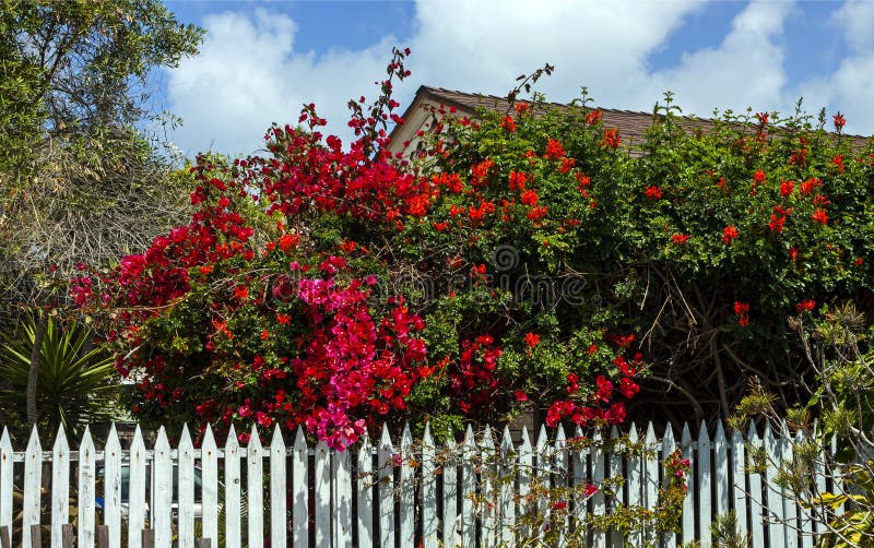 White fence with flowers